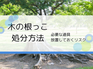 木の根っこの処分方法と早めに処分した方がいい理由