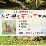 切った木の根っこを枯らす4つの方法｜放置してはいけない理由