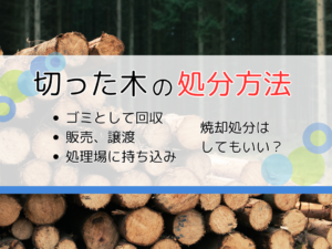 切った木の処分方法は？処分する時の注意点や業者選びのポイントも紹介！