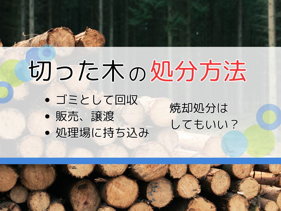 切った木の処分方法は？処分する時の注意点や業者選びのポイントも紹介！