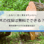 木の伐採は無料でできる？費用相場やおすすめ業者を紹介