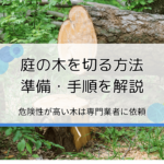 自分で庭の木・高い木を切る方法｜道具・手順・注意点を解説【危険な場合は業者に依頼】