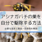 アシナガバチの巣は自分で駆除すべき？｜蜂の巣駆除方法や危険性を解説