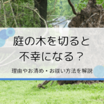 庭の木を切ると不幸になる？理由やお清め・お祓いのやり方を解説