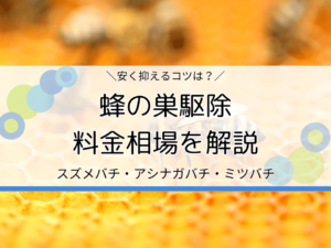 【蜂の巣駆除の相場】費用の内訳・安く抑えるコツ・おすすめの業者をご紹介