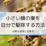 小さい蜂の巣を自分で駆除する方法｜必要な道具や注意点を解説【困ったらプロに依頼】