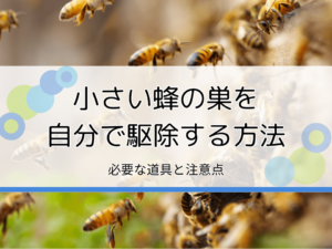 小さい蜂の巣を自分で駆除する方法｜必要な道具や注意点を解説【困ったらプロに依頼】