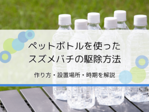 ペットボトルを使ってスズメバチを駆除する方法｜作り方・設置場所・時期を解説