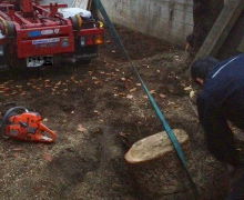 伐根作業もお任せ下さい