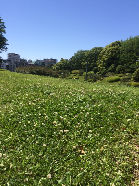 代々木公園