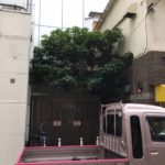 葛飾区新小岩支障木撤去作業