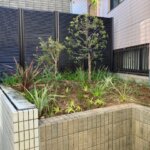 伐採伐根を行った後の土の入れ替えと